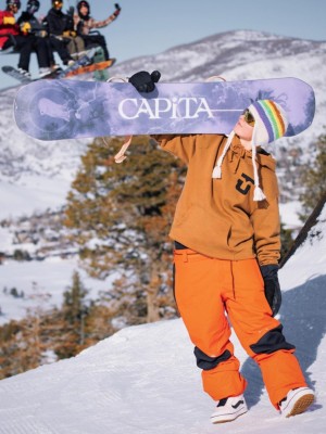 CAPiTA Birds Of A Feather 2024 Snowboard - Buy now | Blue Tomato